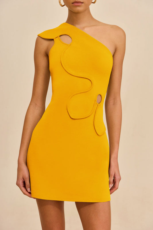 LABELLA KNIT DRESS Cult Gaia