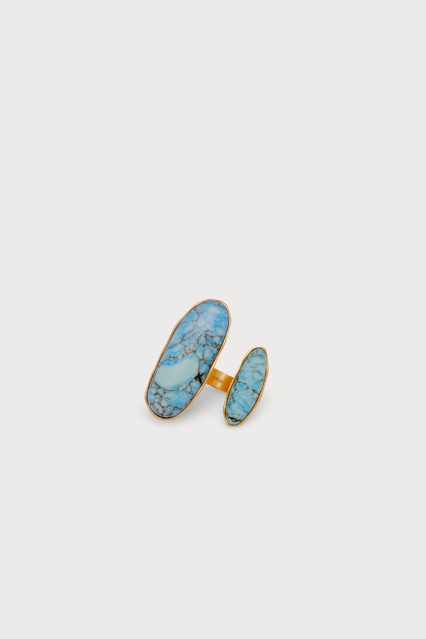 AMI RING Cult Gaia