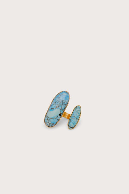 AMI RING Cult Gaia